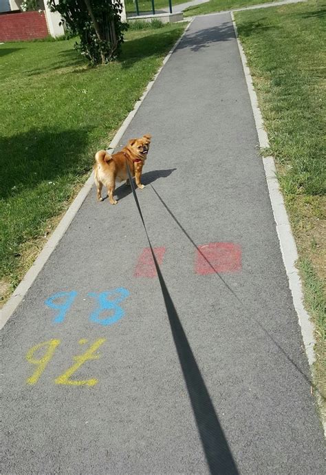 Osnovna škola Dragutina Tadijanovića Zagreb