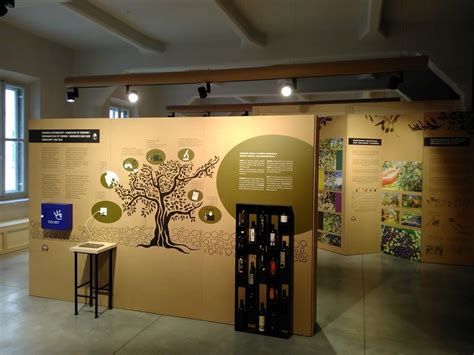 Istrian olive oil museum